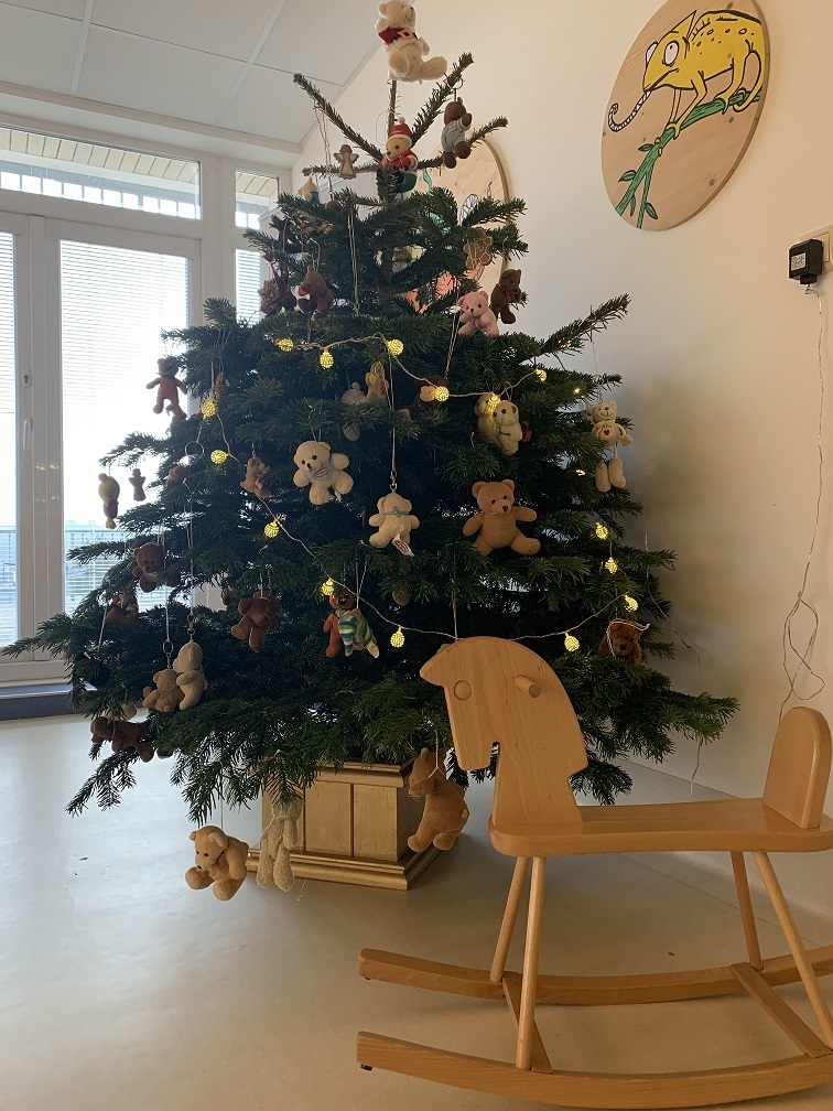 Vianoce v nemocniciach pacientom aj tento rok spríjemnia živé vianočné stromčeky
